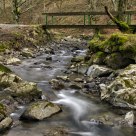 Bridge over the river